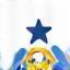 Customised Support icon