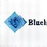 Bluebyte Consulting logo